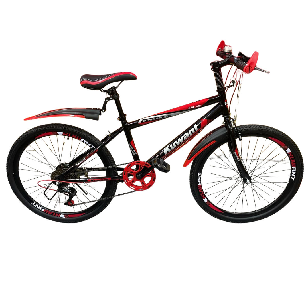 Bicicleta Deportiva Aro 24"