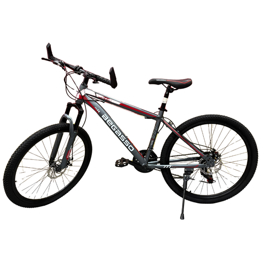 Bicicleta Aro 26 Begasso